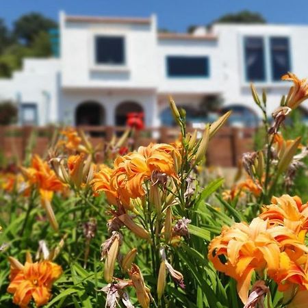 La Casa Te Puru Lodge Eksteriør bilde